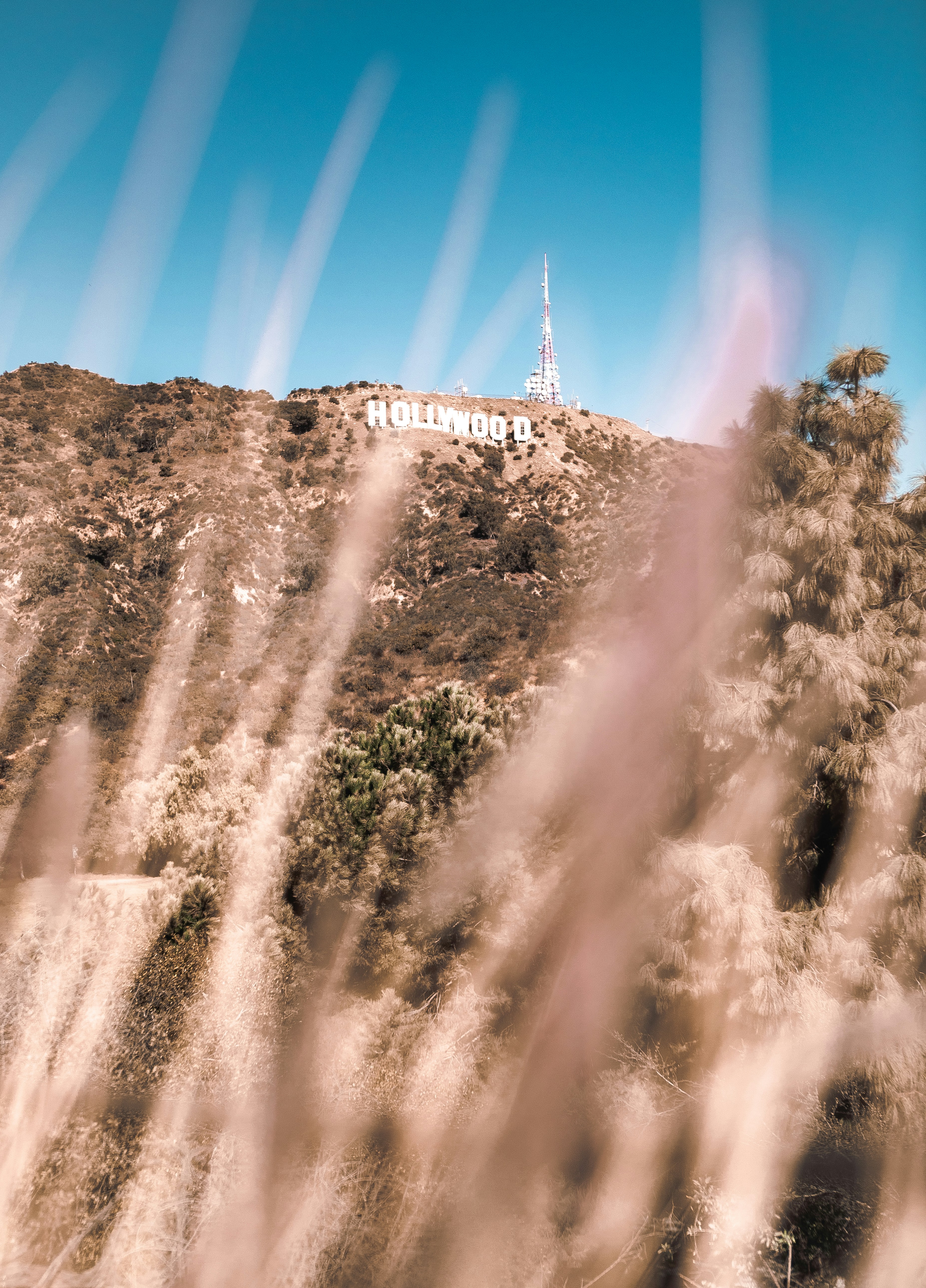 Hollywood